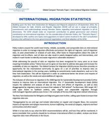 IOM Thematic Paper: International Migration Statistics