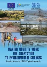 Making mobility work for adaptation to environmental changes: Results from the MECLEP global research